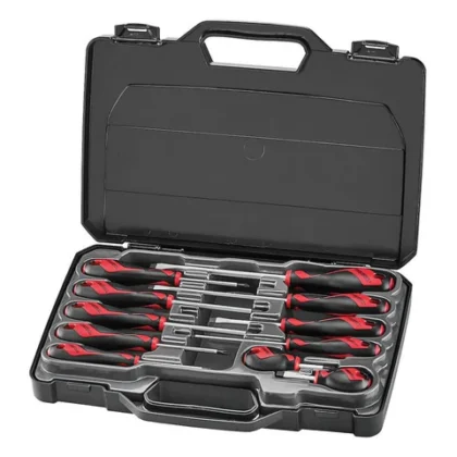 TENG TOOLS - 11pc Screwdriver Set in Carry Case - MD911N