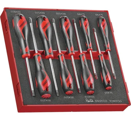 TENG TOOLS - 9PC Tx Screwdriver Set - TED909TXN