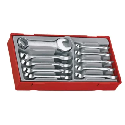 TENG TOOLS - 10PC Stubby Spanner Tray - TT6010M